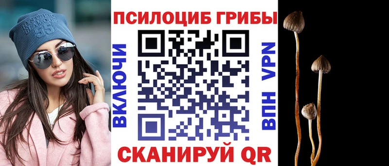 купить наркоту  Харовск  Псилоцибиновые грибы Psilocybe 
